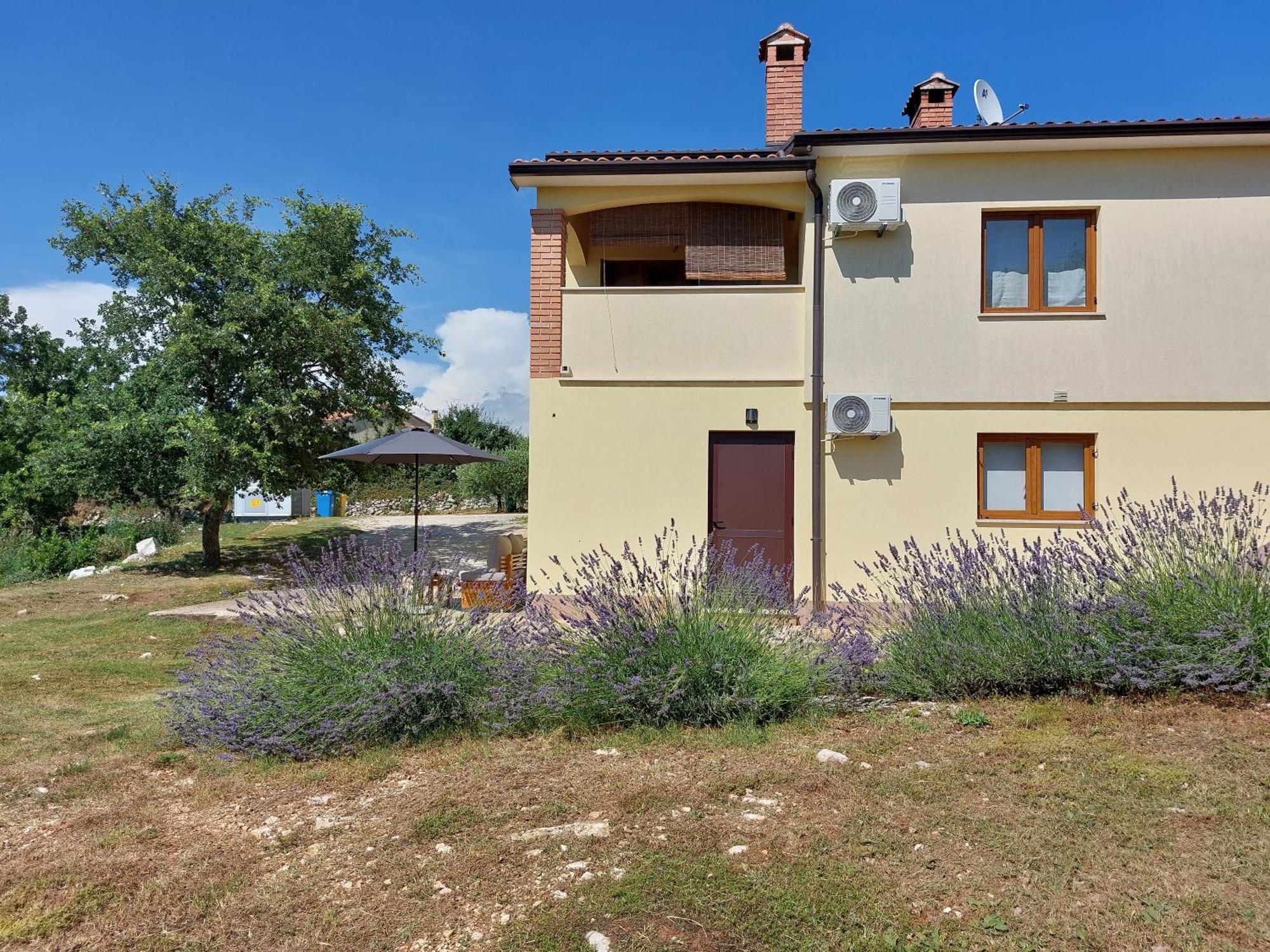 Nika Apartma